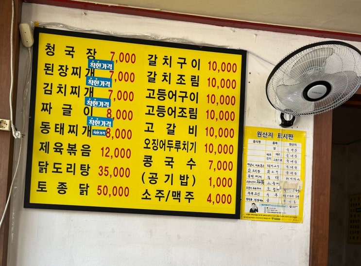  은근 맛집 명동식당 / 길 가다가 고양이 / 고양이 간호하기