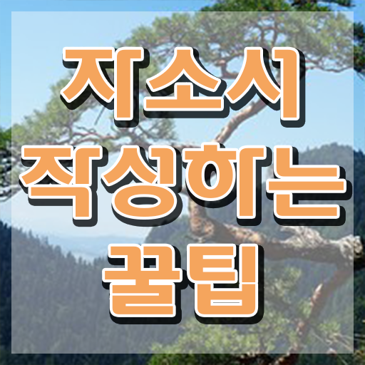  , 자기소개서지도사 자격증 합격한 팁 정리했어요