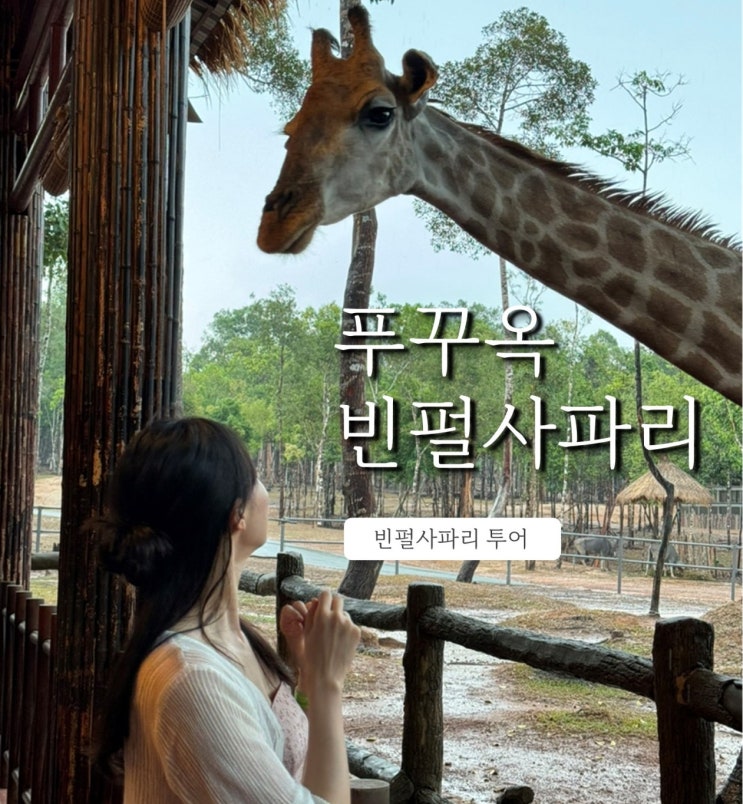  푸꾸옥 빈펄사파리 사파리 주트램 달러환전 꿀팁 대방출