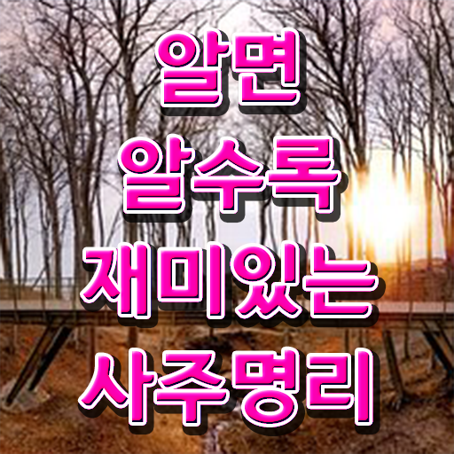  사주 팔자 , 심리상담사 자격증 독학으로 취득한 정보 및 향후 전망