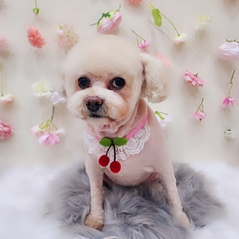 사진 9