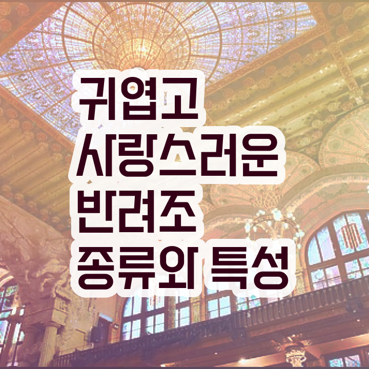  반려조관리사 , 반려조관리사 자격증 취득한 방법 정리해봤어요