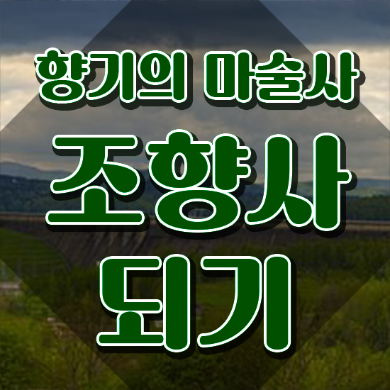  메이플 조향사 , 비전공자도 조향사 취득 가능해요