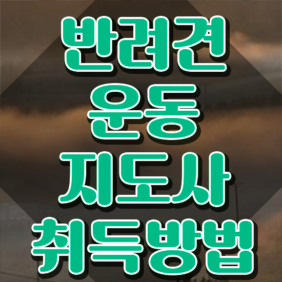  , 조건없이 반려견운동지도사 취득 가능해요