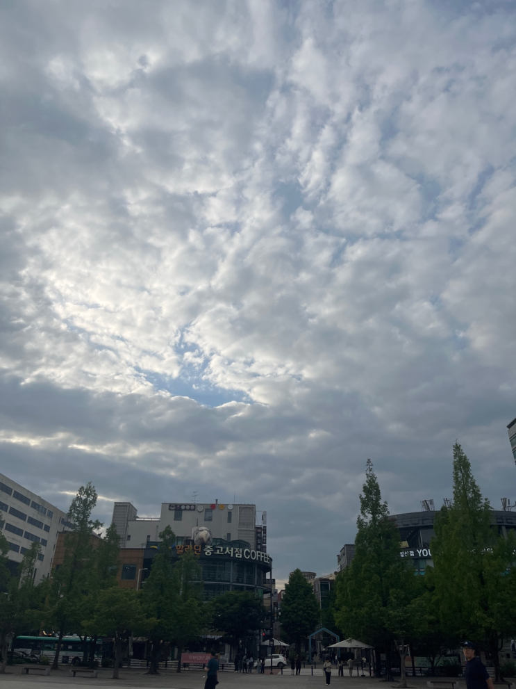 2024.05.29 오늘의운세