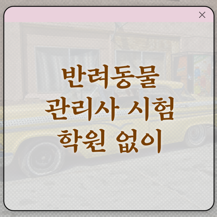  반려동물종합관리사 , 반려동물관리사 자격증 온라인으로 간단히 취득한 과정 , 향후 전망