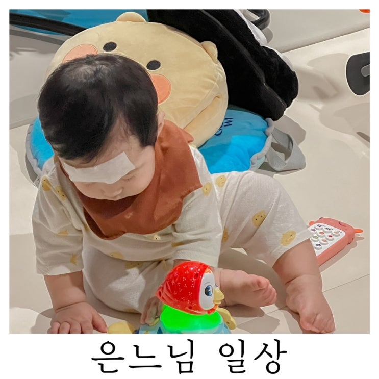  [은느님 일상]어떻게 이렇게 닮을 수가 있나