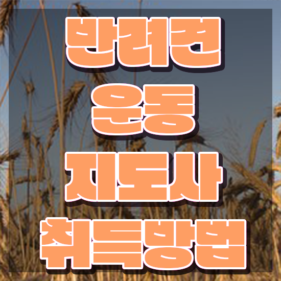  50대남자취업 반려견운동지도사 취득방법 및 무료수강 혜택
