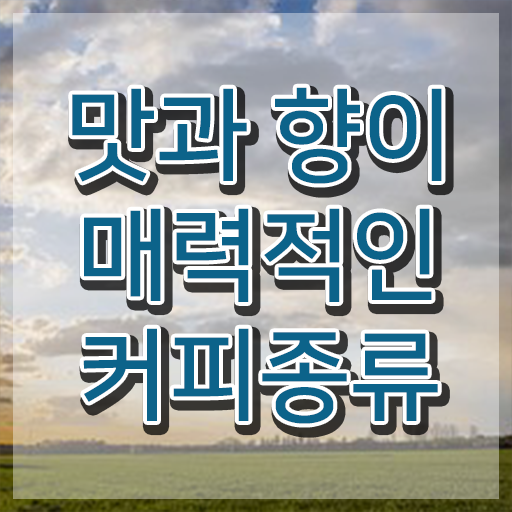  바리스타 자격증 3급 , 바리스타 자격증 취득한 노하우 정리해드립니다