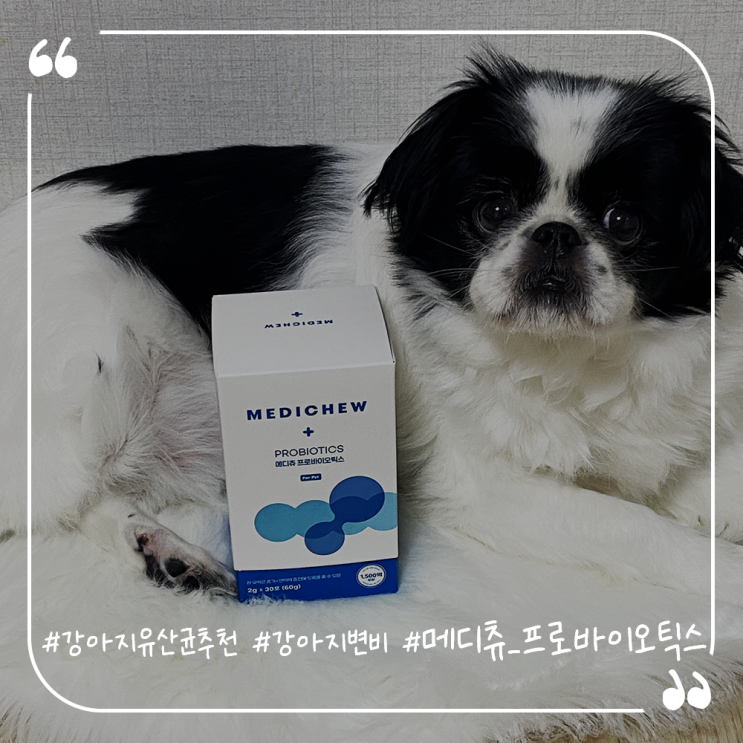  강아지유산균추천 강아지변비 강아지대통령 메디츄프로바이오틱스