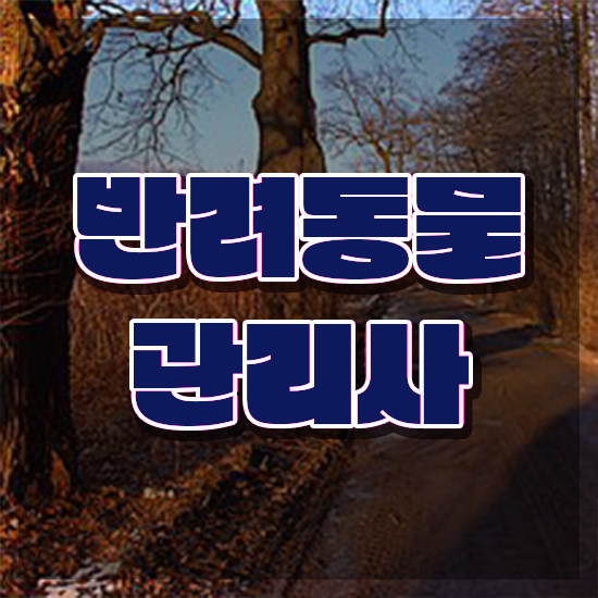  40대 취업 , 반려동물관리사 자격증 1급,2급 동시에 합격한 팁 소개합니다
