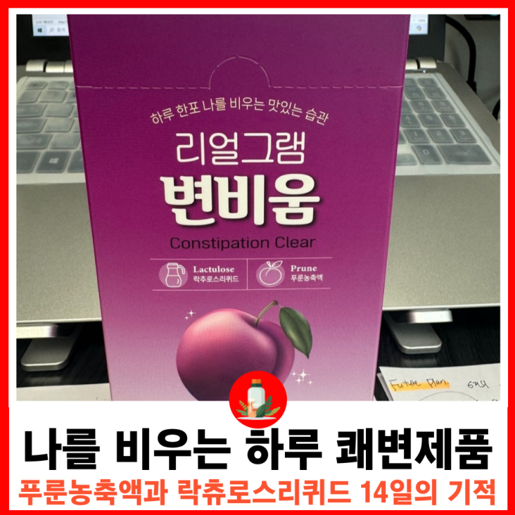  화장실 못갈때 쾌변을 위한 나를 비우는 하루 쾌변제품 리얼그램 변비움