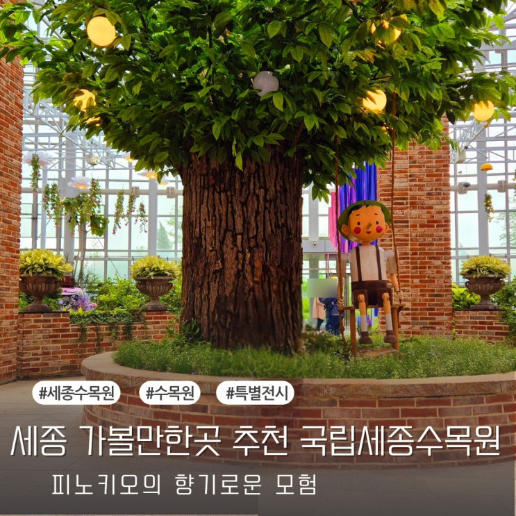  세종 아이랑 가볼만한곳 국립 세종수목원 피노키오의 향기로운 모험
