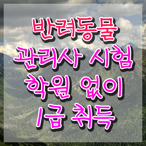  고양이 반려동물 등록 , 반려동물관리사 자격증 쉽고 간편하게 합격한 후기 및 구직정보