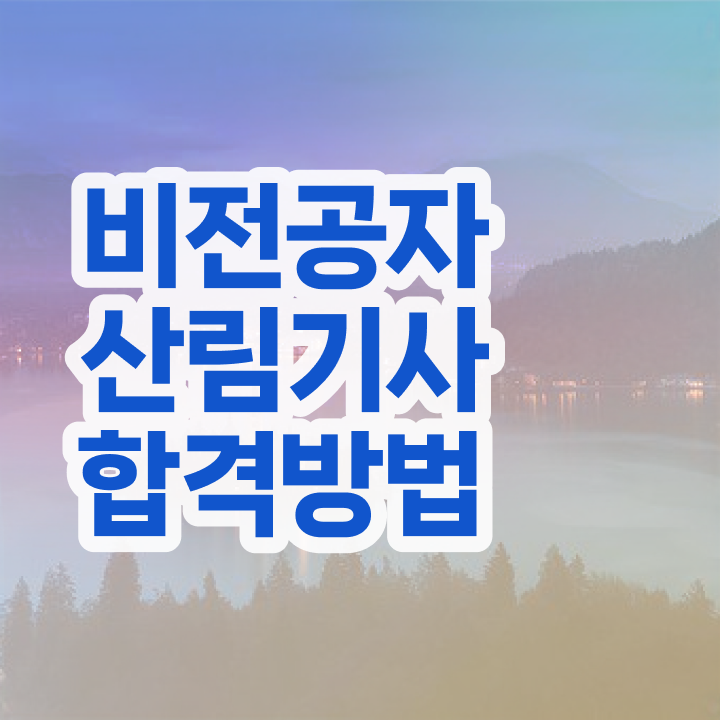  산림기사 실기 합격률 산림기사 시험자격 인강만 듣고 15주 동안 성공한 전략