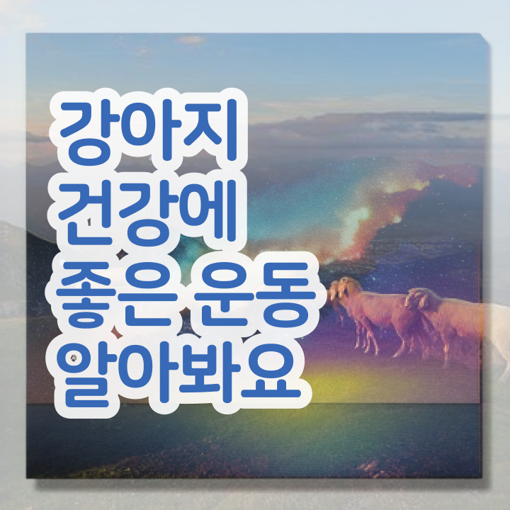  반려견운동지도사 워크샵 , 반려견운동지도사자격증 한달 만에 합격 전략