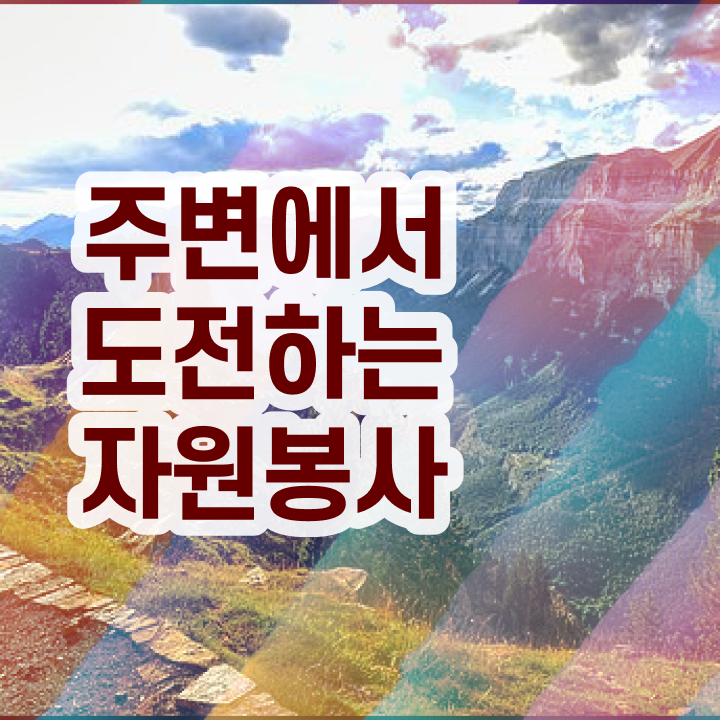  노인자원봉사실천론 , 자원봉사지도사 자격증 독학으로 시험준비 확인