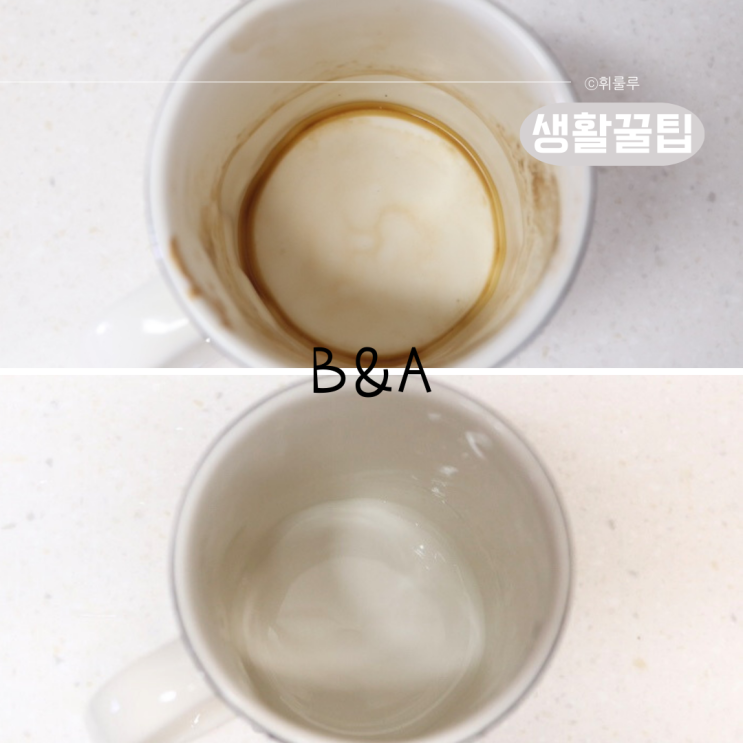  텀블러 세척기보다 간편한 초간단 텀블러 간편 세척 클리너
