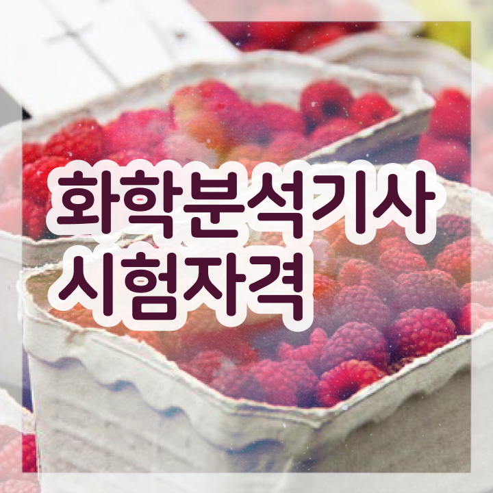  화학분석기사 책 화학분석기사 응시조건 독학으로 15주 동안 완료한 후기