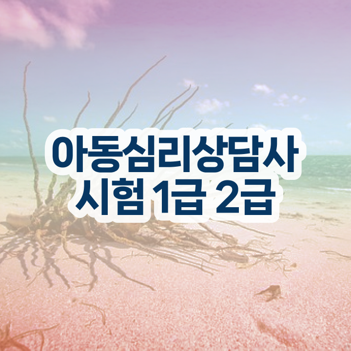  심리상담사자격증 , 심리상담사 자격증 1달 만에 합격한 후기 요점정리