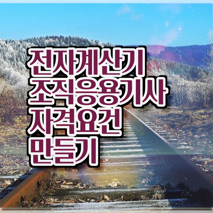  전자계산기조직응용기사 자격요건 독학으로 15주만에 준비한 전략