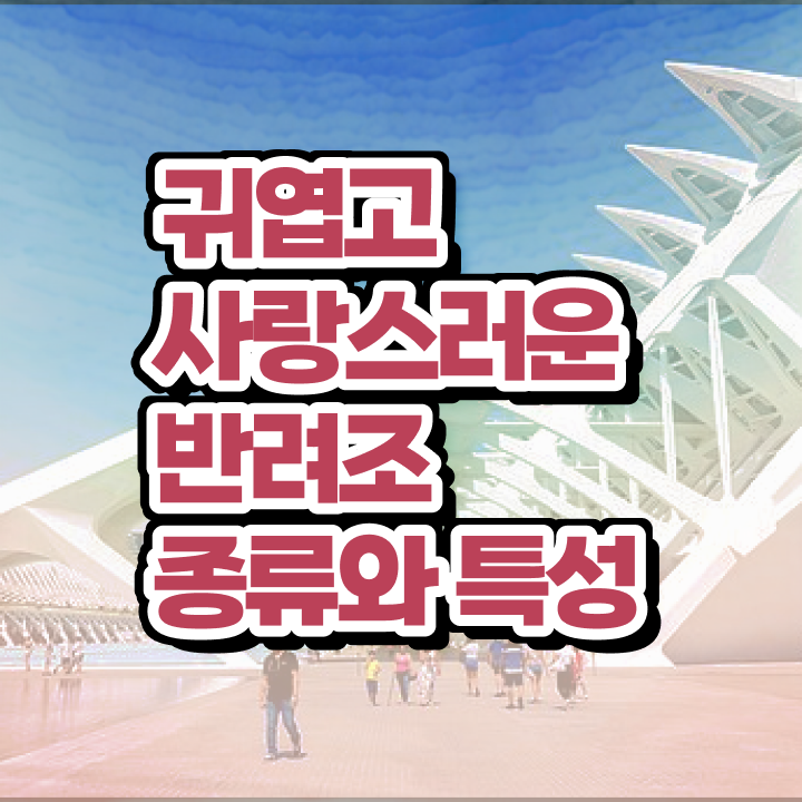  , 반려조관리사 자격증 온라인 교육으로 합격한 비법 및 이후 전망