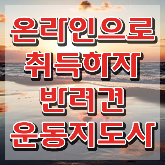  청소년자격증추천 , 반려견운동지도사 혼자서 독학으로 단기간에 성공한 과정