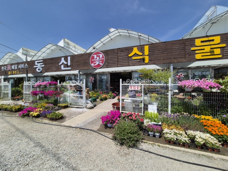  전주 대규모 꽃식물원 삼천동 동신 꽃식물원 개업식 화분, 주차공간 좋아요