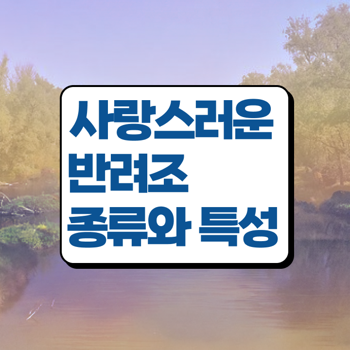  반려조관리사 , 반려조관리사 자격증 쉽고 간편하게 취득한 방법 준비했어요