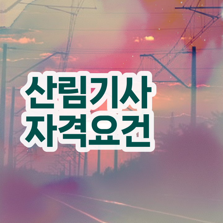  산림기사 산림기사 시험자격 집에서 온라인으로 4달 안에 완료한 팁