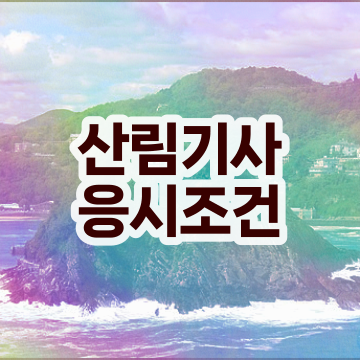  산림기사 필기시험 준비물 산림기사 자격요건 온라인 수업으로 5달만에 준비한 팁