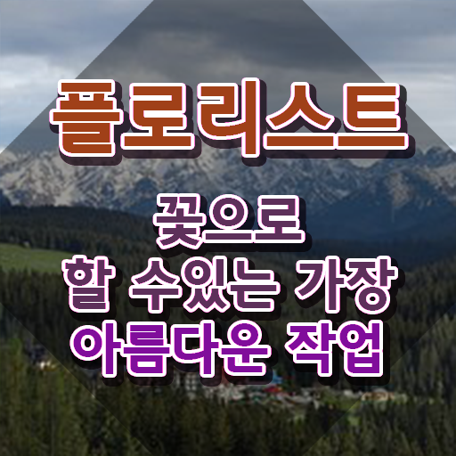  부산꽃꽂이원데이클래스 , 플로리스트 자격증 합격한 후기 정리해드립니다