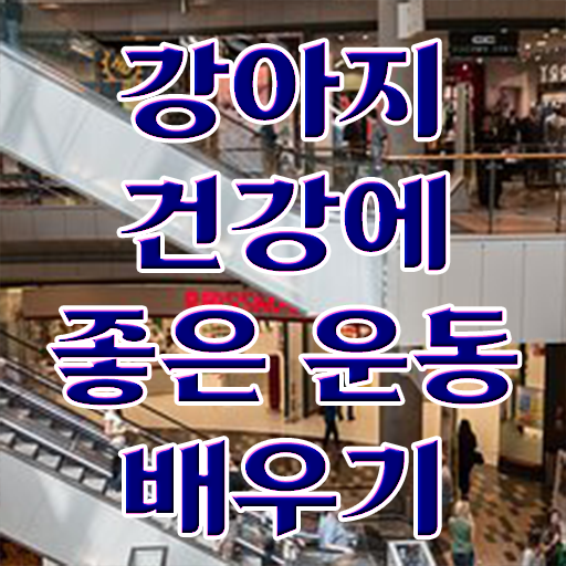  40대여성자격증 , 경력없어도 반려견운동지도사 발급받아 보세요