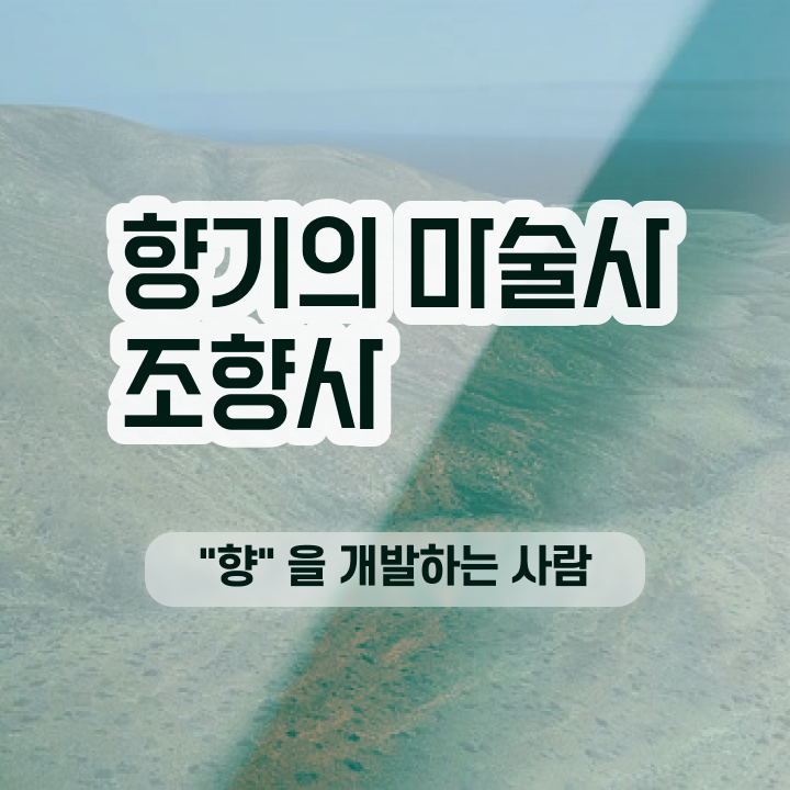  조향사 , 조향사자격증 혼자서 독학으로 준비 과정