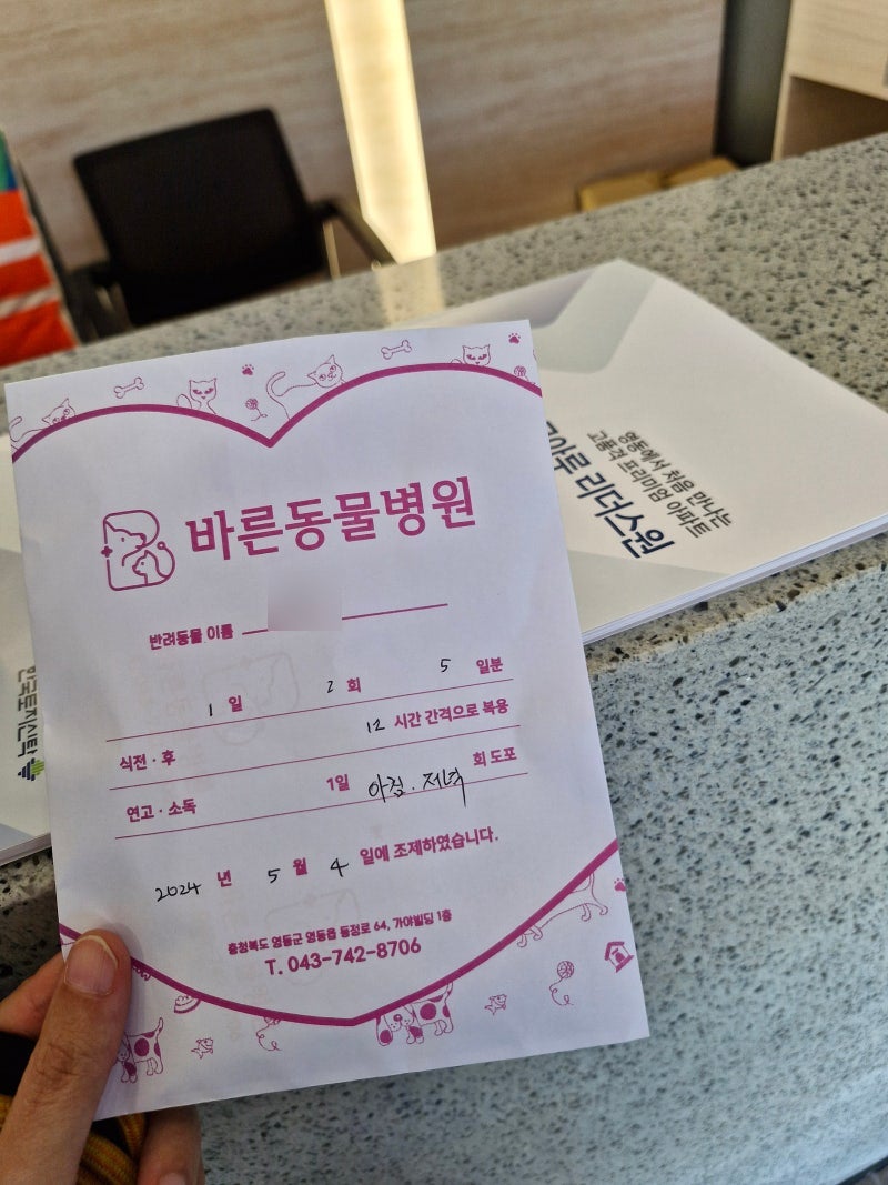 바른동물병원 사진 3