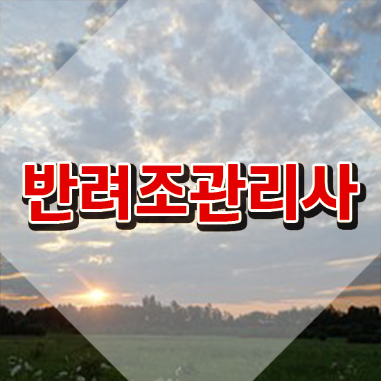  , 반려조관리사 자격증 쉽고 빠르게 취득했던 후기 및 취업 전망