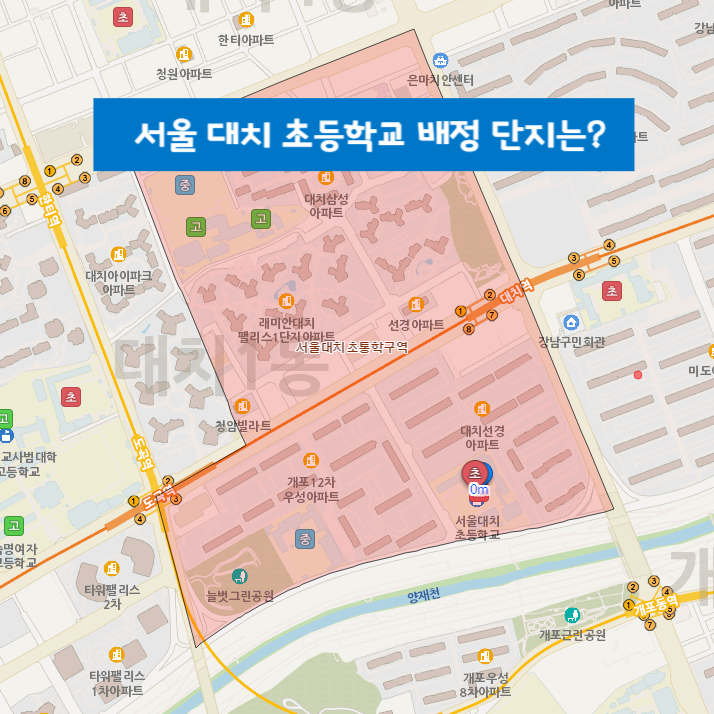 대치초등학교 소개 및 배정 아파트는?
