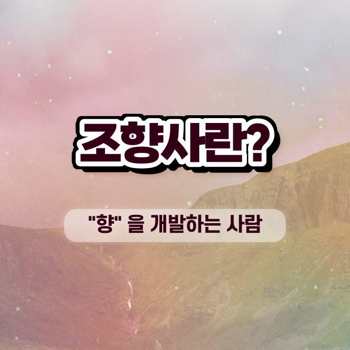  , 조향사 관련학위 없어도 빠르게 완료한 전략