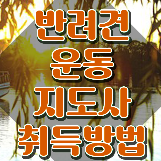  40대 취업 , 반려견운동지도사자격증 20일 만에 취득했던 후기