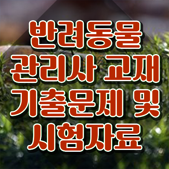  반려동물관리사 취업 , 반려동물관리사 자격증 독학으로 합격한 전략 정리했어요