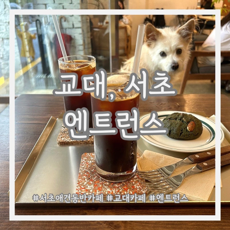 사진 3