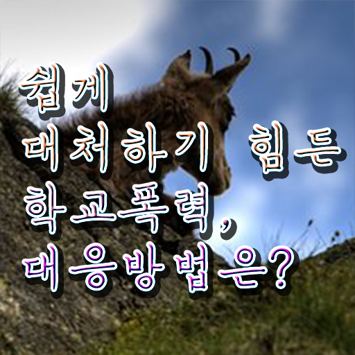  학교폭력 예방 프로그램 , 아동폭력예방상담사 자격증 준비한 방법 요약