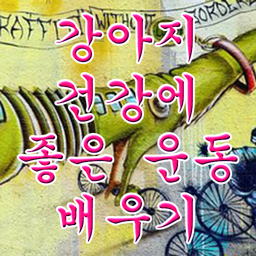  반려견운동지도사 , 반려견운동지도사자격증 온라인으로 손쉽게 합격 전략