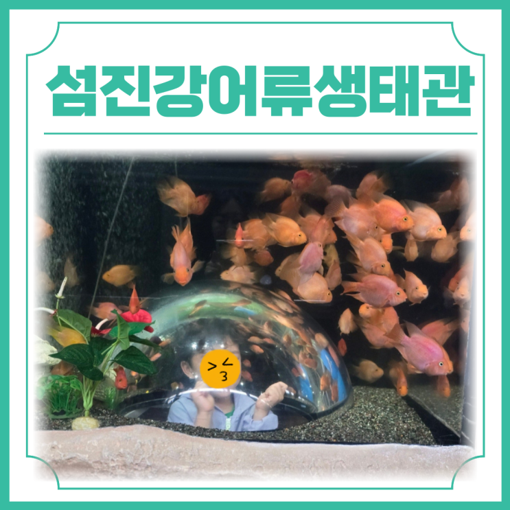  섬진강어류생태관 전남 아기랑 실내 체험 학습하기