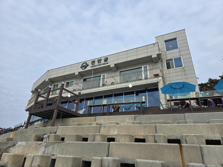 태안 오션뷰 카페여행으로 가볼만한 곳 천리포수목원 근처 카페 천만금 추천 태안 오션뷰 카페여행으로 가볼만한 곳 천리포수목원 근처 카페 천만금 추천