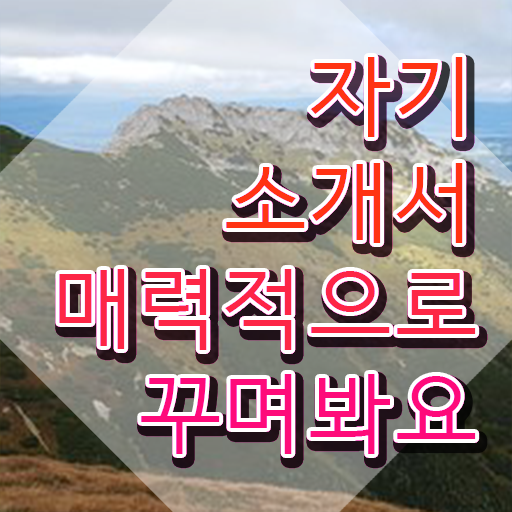  , 자기소개서지도사 자격증 간단하게 합격한 전략 정보 가득
