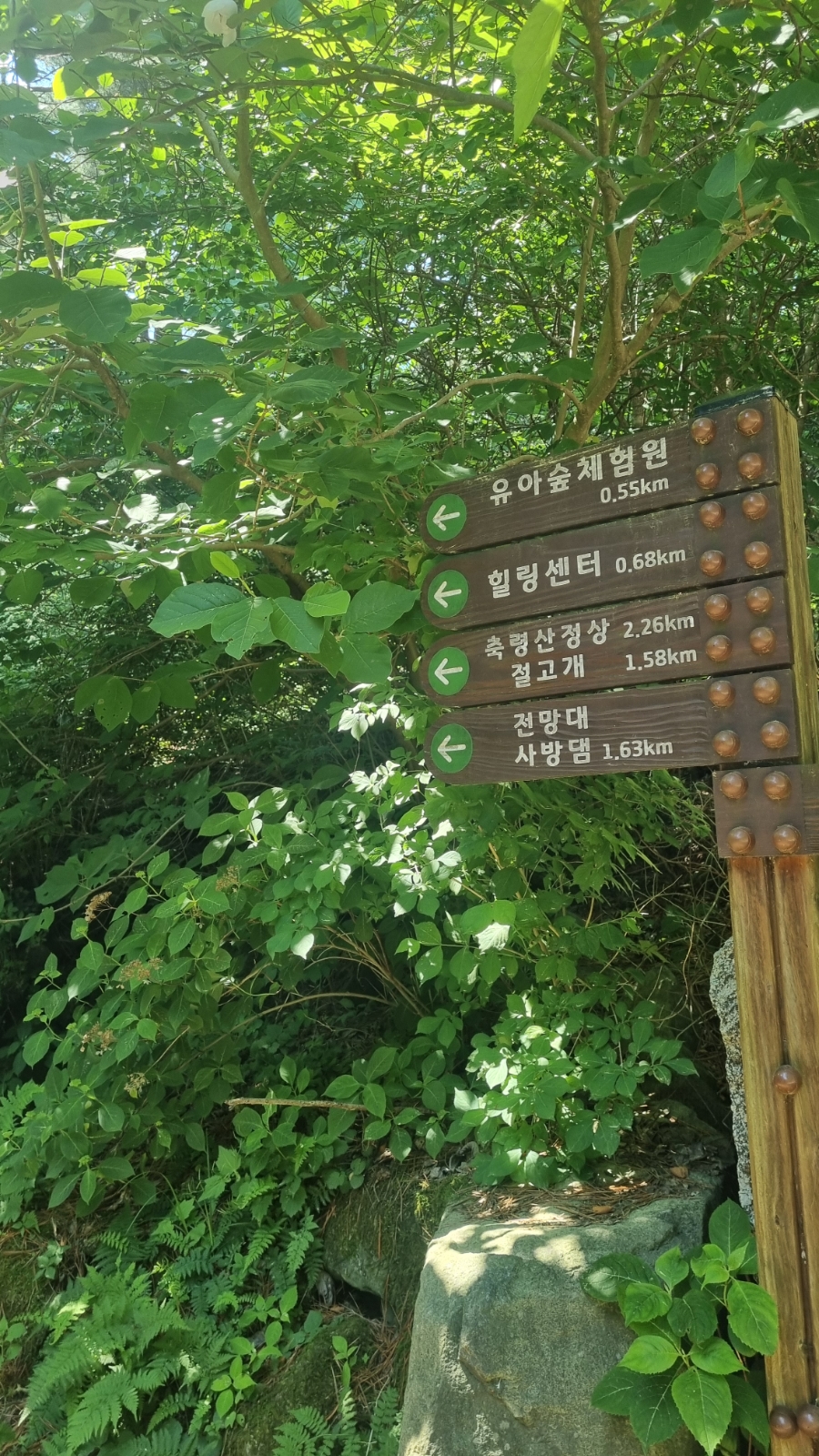 존경과행복의집 사진 6