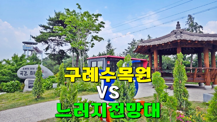 전라도 나주·구례 수국명소 가볼만한곳 : 나주 느러지전망대 수국 VS 구례 수목원 수국축제 개화시기 전라도 나주·구례 수국명소 가볼만한곳 : 나주 느러지전망대 수국 VS 구례 수목원 수국축제 개화시기