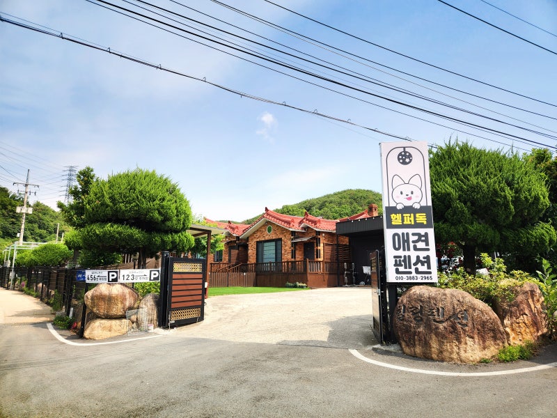 사진 7