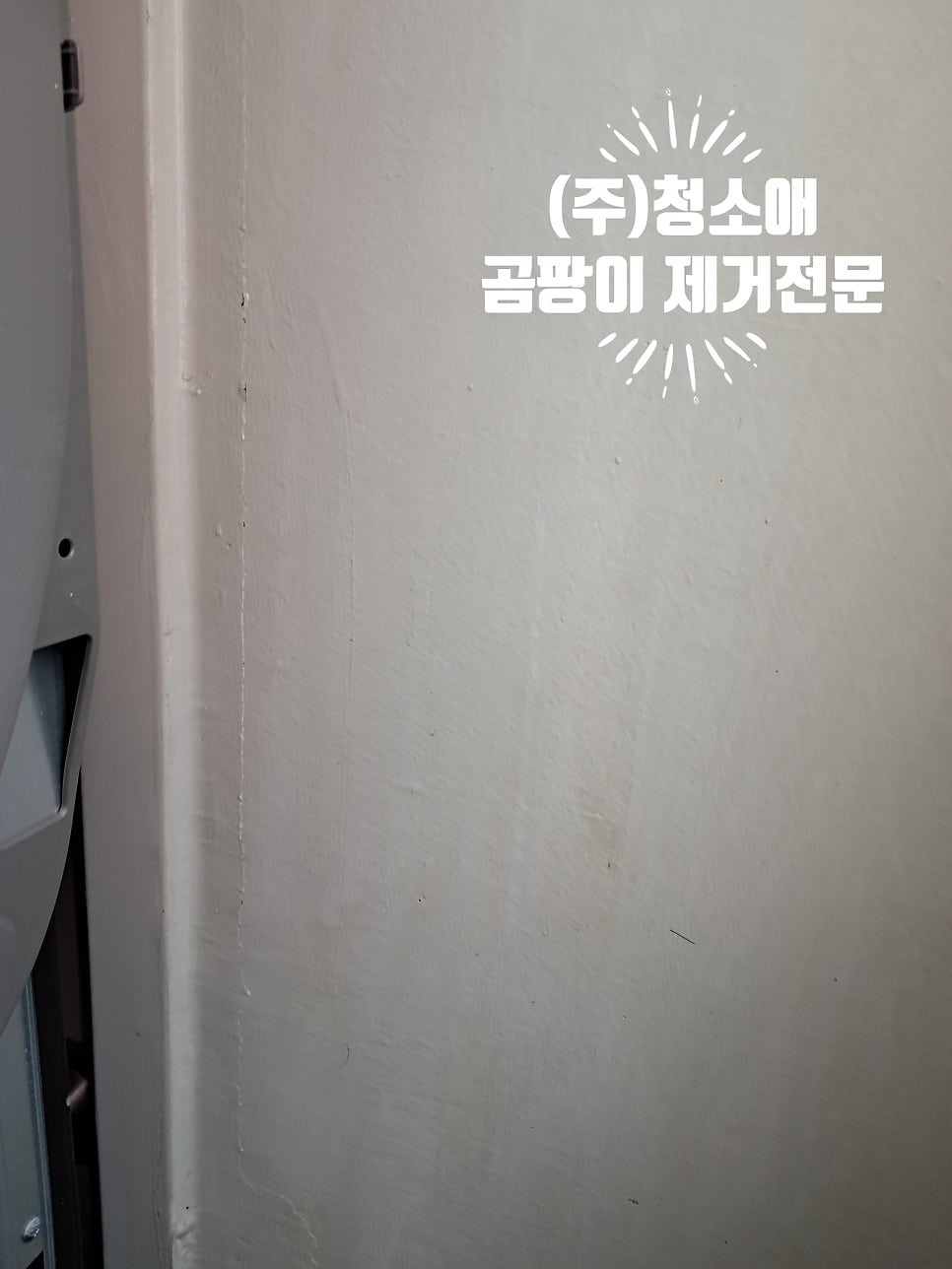 청소애 사진 6
